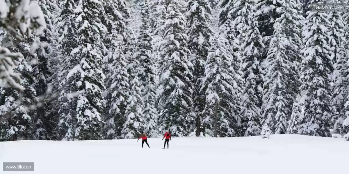🎧互动弹幕，和千万球迷一起嗨翻全场！